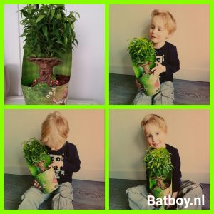 sprookjesboom, efteling, plant, verjaardag, batboy, cadeau