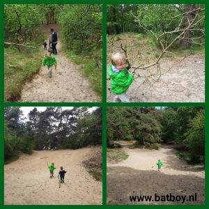 mulle zand, bos, batboy, bomen, stok, takken