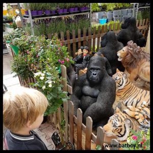 gorilla, batboy, tuincentrum oosterik, dierentuin, uitstapje, dieren, aap