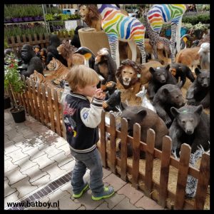 dieren, wild, tijgers, apen, beren, batboy, bang, jongens, tuincentrum