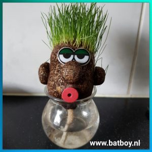 jeroen groen, haren, gras, groen, knippen, batboy, kinderen, kruidvat