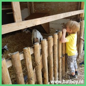 geiten, kinderboerderij, weusthag, hengelo