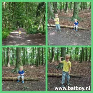 spelen, weusthagpark, bos, hengelo, batboy, van alphenbos, kinderboerderij t weusthag