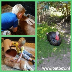 kinderboerderij, mamablog, batboy