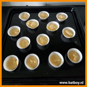 Batboy, paddenstoel, cakejes, koopmans, paddenstoel cakejes 