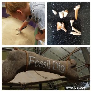 fossielen, dinoland, dinopark, zwolle, bayboy, speeltuin