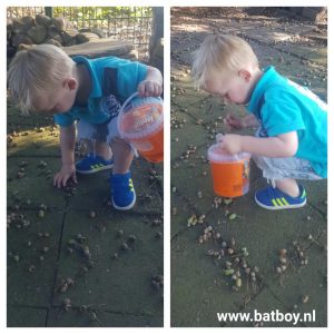 eikels, batboy, kinderen, herfst, herfstbakje, september, diy