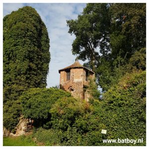 lolly, kasteelruine lage, herrenhaus