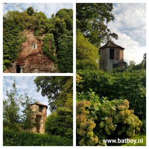 bos, batboy, boswandeling, wandeling, bos, kinderen, kasteel, buitenlucht