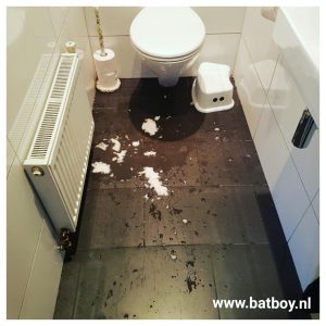 wc, plassen, batboy, wc bril, urine, staand plassen, zittend plassen, toilet, jongens, hygienisch