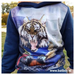 winter, trui, jongens kleding, kinderen, kinderkleding, jongenstrui, batboy, takko, tijger