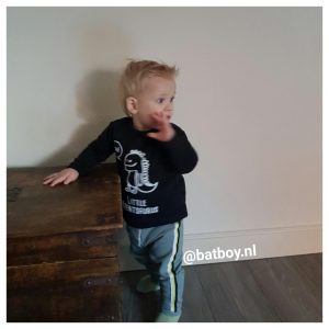 dinosaurus, baby, longsleeve, babykleding, jongen, kmleon, batboy, t-shirts