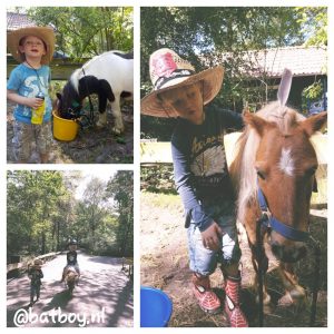 vakantiepark ponyparkcity, slagharen, batboy, het vakantiehuisje