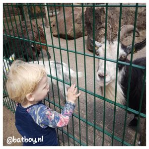 tierpark nordhorn, batboy, dagje uit, dieren voeren