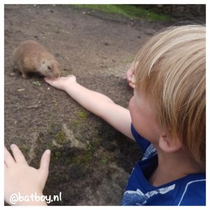 tierpark nordhorn, batboy, dagje uit