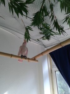 een kijkje in de slaapkamer van een stoere meid en een kleine vent, batboy