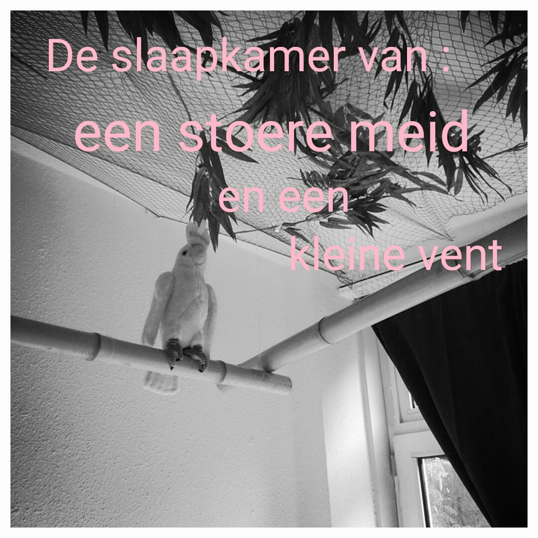 een kijkje in de slaapkamer van een stoere meid en een kleine vent, batboy, slaapkamer