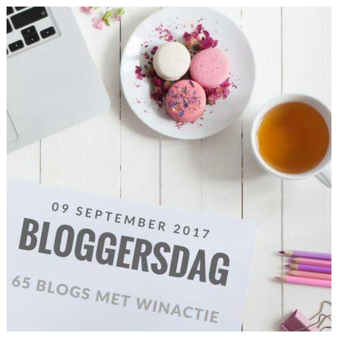 bloggershop, mamablog, batboy, bloggersdag, have tot have