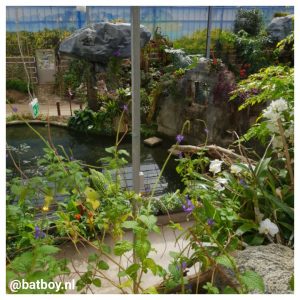 mamablog, batboy, de vlindertuin, emsflower