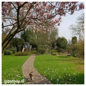 speeltoestellen in de tuin, mamablog, batboy