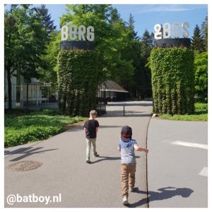 natuurpark, berg en bos