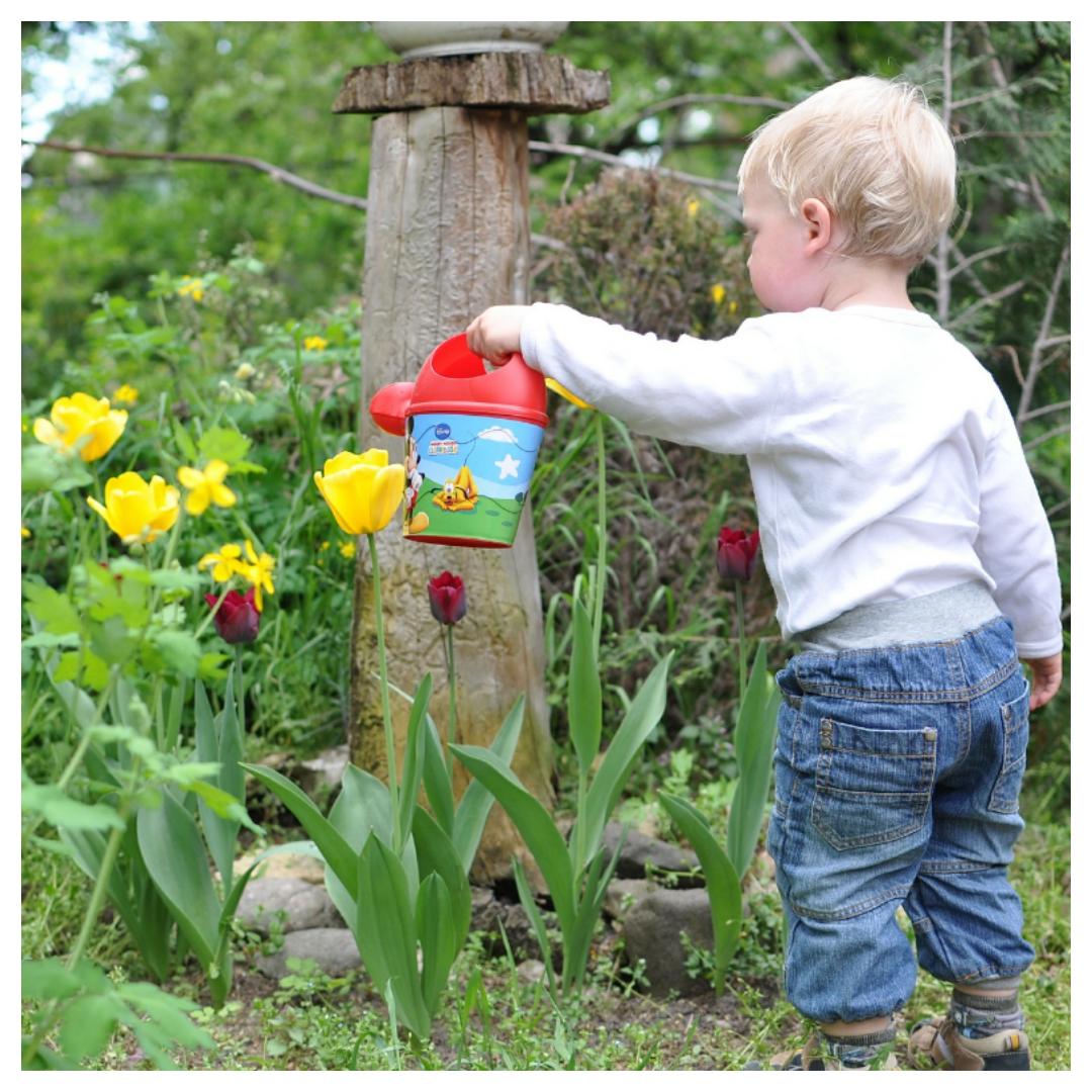 giftige planten, giftig, planten, kinderen