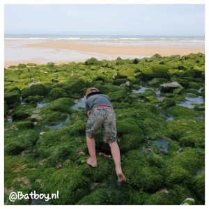 fossielen, cap blanc nez