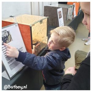vogelspinnen, tentoonstelling