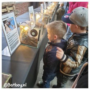 vogelspin, tentoonstelling