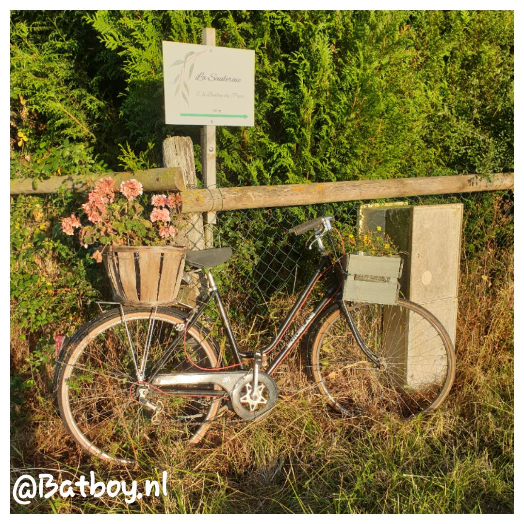 bed & breakfast, overnachten, slapen