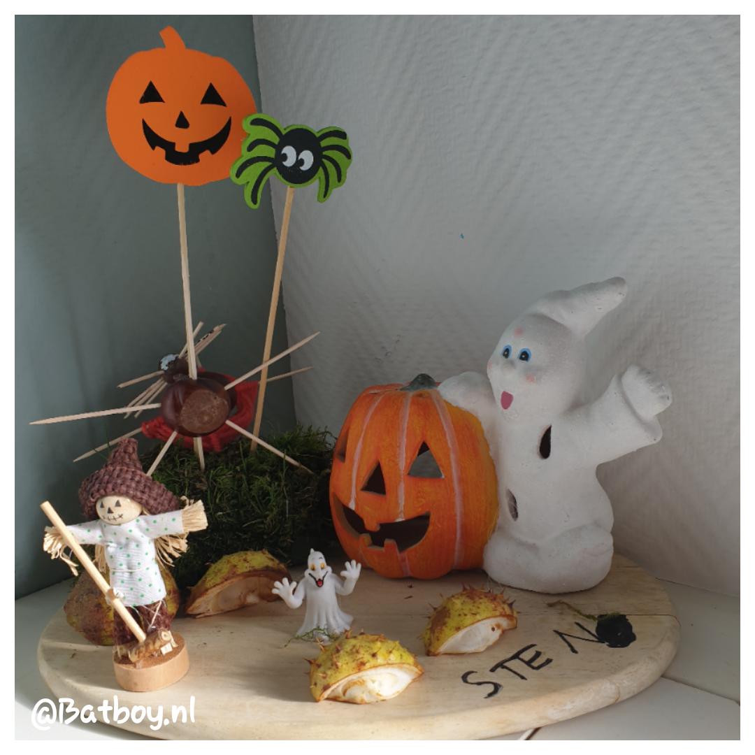 Intens Raar Misschien Halloween decoratie maken om je huis te versieren | Batboy