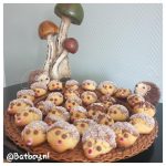 egel koekjes, herfst