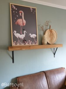 gezinsfoto, poster, dieren posters, flamingo