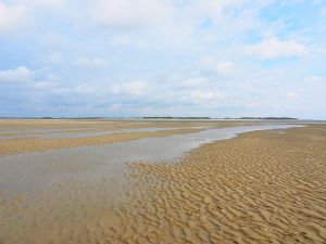 ameland