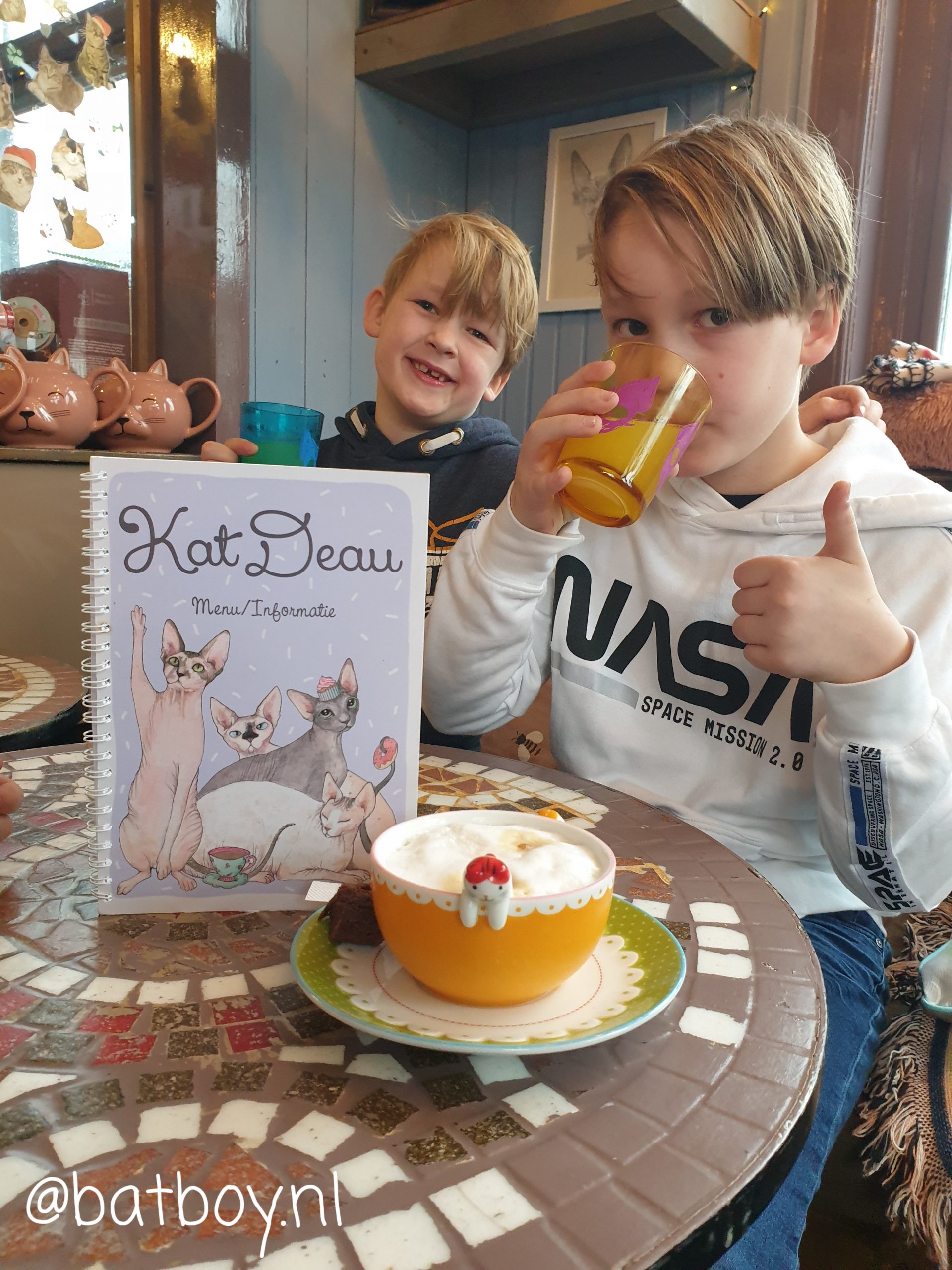 katdeau, kattencafé, high tea