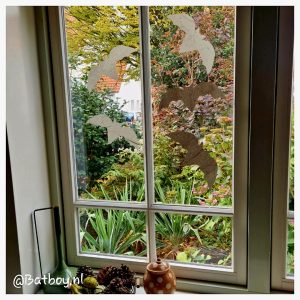 Halloween raamdecoratie