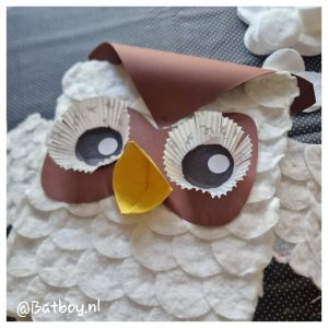 Sinterklaas uil surprise, uil