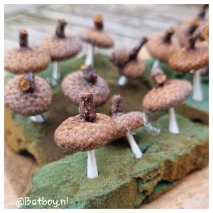 paddenstoelenslinger, paddenstoelen, eikelhoedjes, eikel, wattenstaafjes